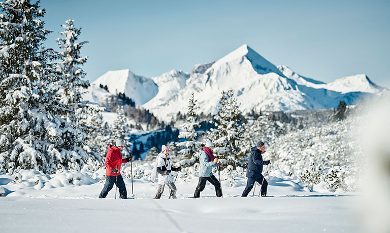 a group of people skiing